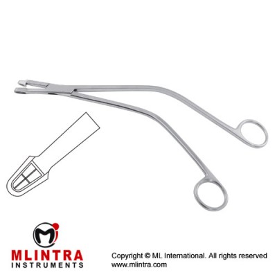 Schubert Biopsy Forcep Stainless Steel, 24 cm - 9 1/2" Bite Size 5.0 mm Schubert Biopsy Forcep Stainless Steel, 24 cm - 9 1/2" Bite Size 5.0 mm